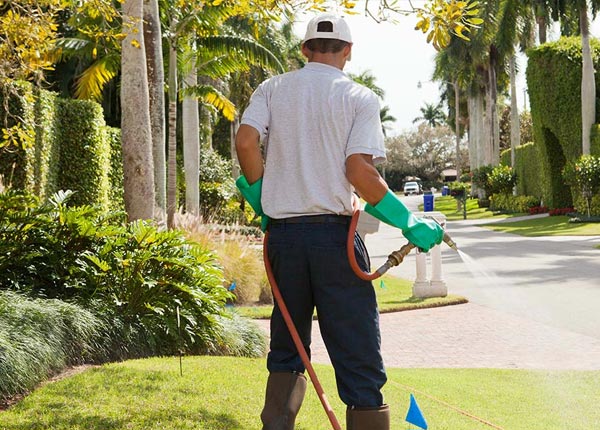 About Teller AK Pest Control